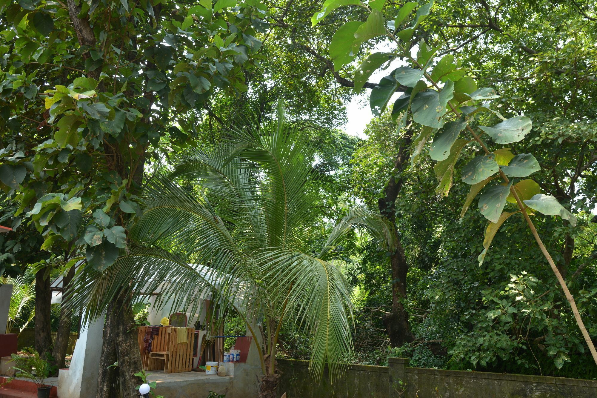 Folklore Hostel Goa Vagator Exterior photo